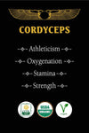 CORDYCEPS